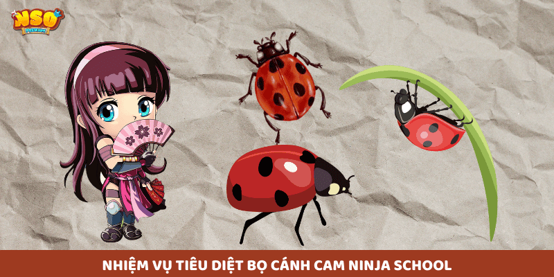 Nhiệm Vụ Tiêu Diệt Bọ Cánh Cam