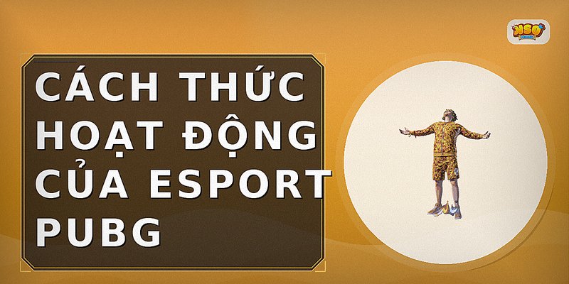 Cách Thức Hoạt Động Của Esport PUBG