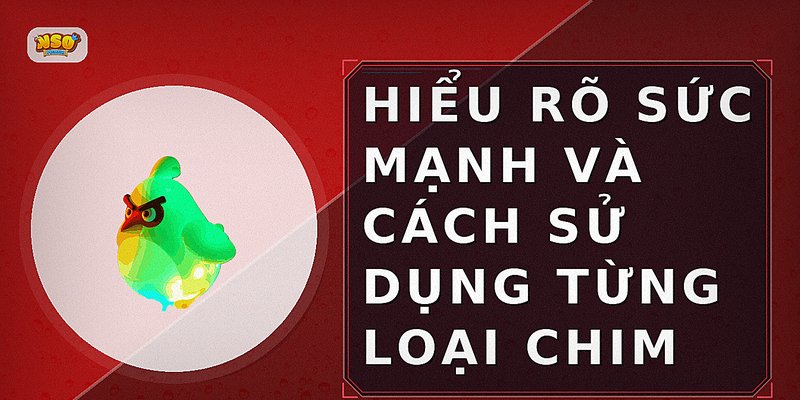 Hiểu rõ sức mạnh và cách sử dụng từng loại chim